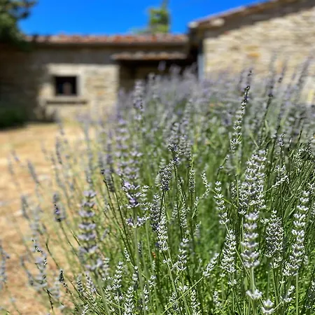 Дом отдыха La Stefania Near Anghiari In Beautiful Setting Misciano