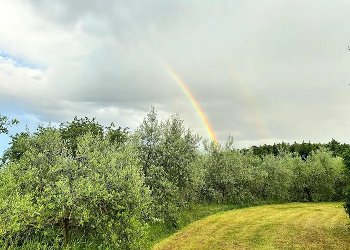 Casa de Férias La Stefania Near Anghiari In Beautiful Setting