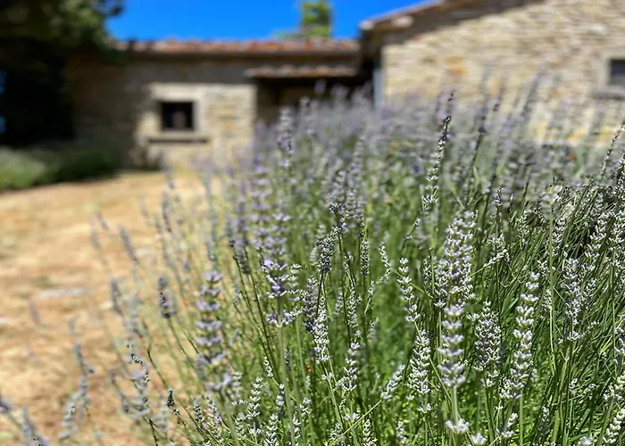 Casa de Férias La Stefania Near Anghiari In Beautiful Setting Misciano