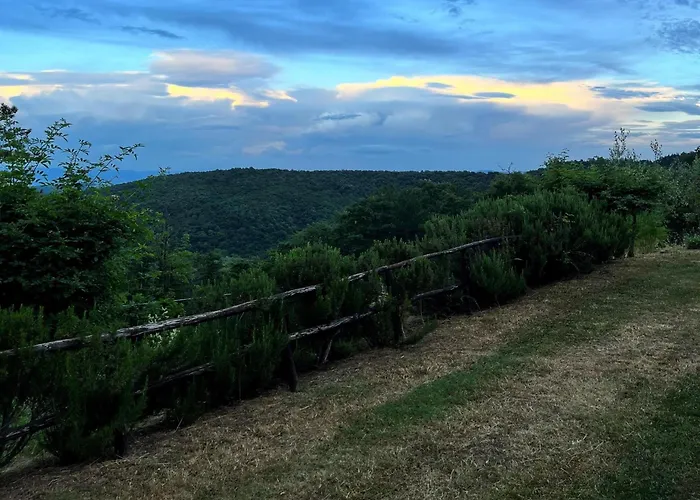 La Stefania Near Anghiari In Beautiful Setting Casa de Férias Misciano